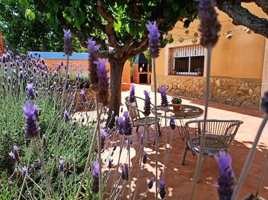 库尼特Mas Del Vent- Barbacoa, Jardin, Piscina Privada Y Vistas A Mar别墅 外观 照片